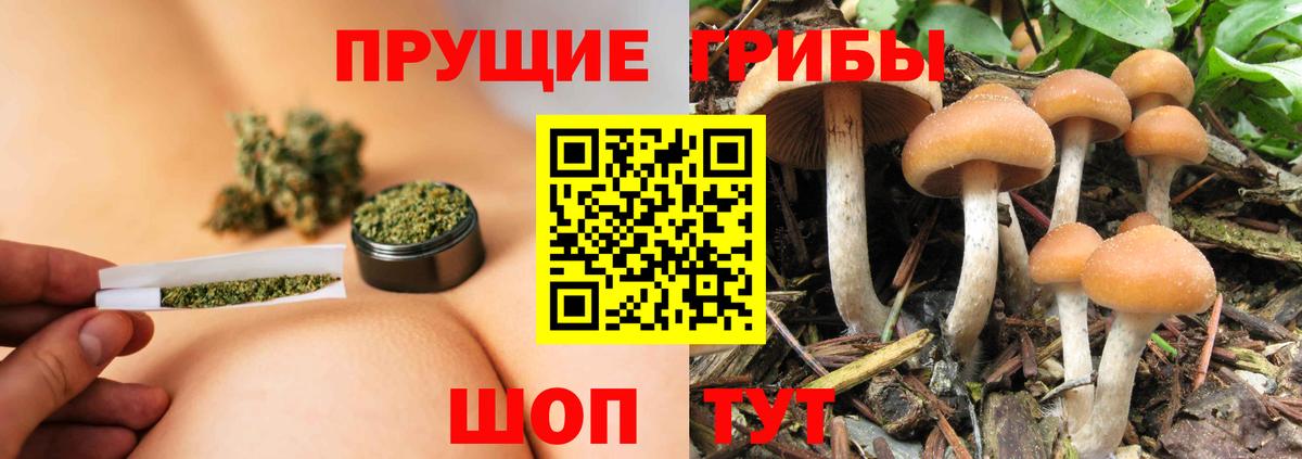 Псилоцибиновые грибы прущие грибы  Вход с VPN  Углич  Галлюциногенные грибы мухоморы 